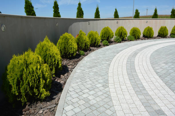 Best Driveway Paving Contractor  in Verona, WI